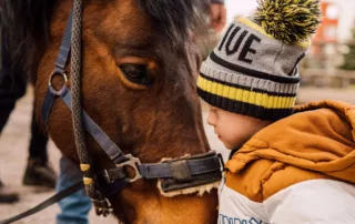 Zdjęcie przedstawia głowę konia oraz dziecko, które patrzy mu w oczy.